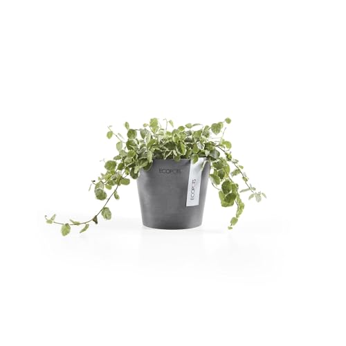 Ecopots Amsterdam Mini Round Flower Planter, Grey, 4" - color: Gray, size: 4 Inches