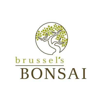 Brussel's Bonsai - X-Large Nitrile-Coated Gardening Gloves, Black - size: X-Large