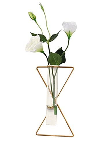 2 Pack IvyMei Luxurious Nordic Gold Wall Vase Metal Frame Glass Tube - color: Gold 11