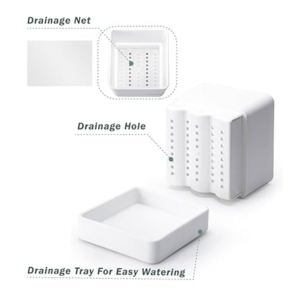 D'vine Dev 3-Pack Plastic Herb Planter Pots, 6 in, White, 76-Y-A3-2 - color: White, size: 18 Inch x 6.5 Inch