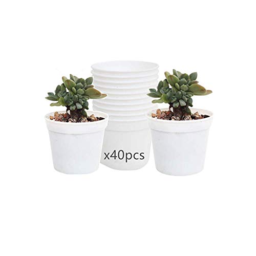 Round Succulents Plant Pots Drainage Hole, Set of 40 Mini Plant Pots 2.5" Wx2.25 H,Perfect for Plant Seeds,Seedling Nursery Transplanting Planter Container(White-40)