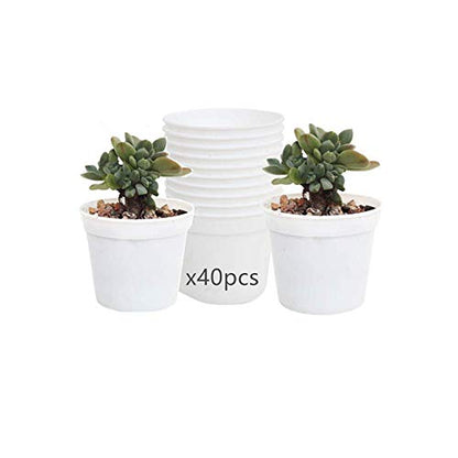 Round Succulents Plant Pots Drainage Hole, Set of 40 Mini Plant Pots 2.5" Wx2.25 H,Perfect for Plant Seeds,Seedling Nursery Transplanting Planter Container(White-40)