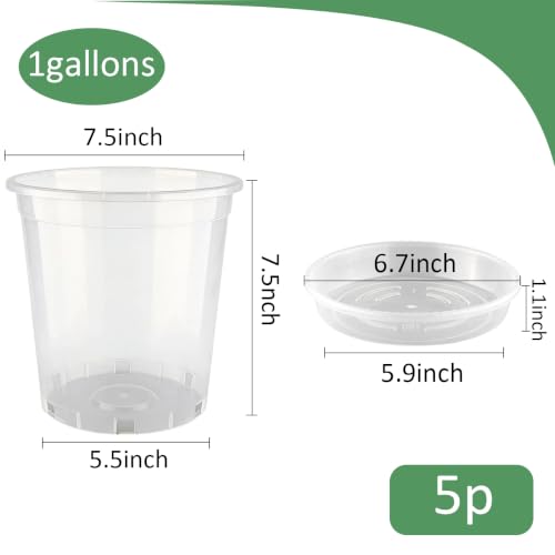 BTPLASTIK 1 Gallon Clear Nursery Pots with Saucers 5P, 7.5 Inch Round Plastic Plant Pots with Drainage Holes - size: 1 Gallon + Saucers 5P