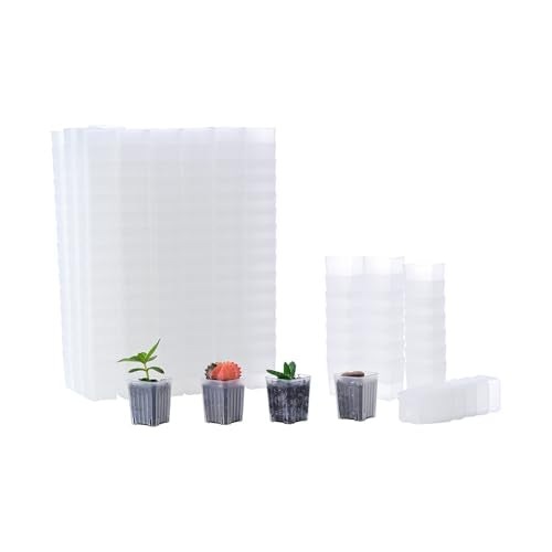 300 Pack 1.55 Inch Tiny Clear Plastic Square Nursery and Seedling Pot, Mini Transplant Seed Starter Planter with Drain Hole for Germination, Herb, Succulent - color: Clear