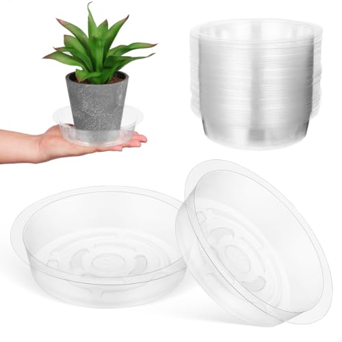 DECHOUS Plant Saucers, 60 Pack 6 Inch Clear PET Trays