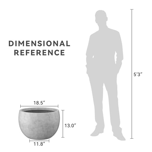 Kante Large Round Bowl Pale Gray Concrete Planter 20" Dia, Outdoor - color: Natural Concrete, size: 19.9" d