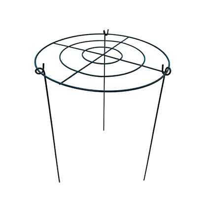 5 Pack 16"x24" Peony Cages Plant Support Stakes Grow Through Grid Grow Through Hoops, Metal Flower Plant Brace Support Ring for Heavy Blossom - size: 16"x24" Pack of 5