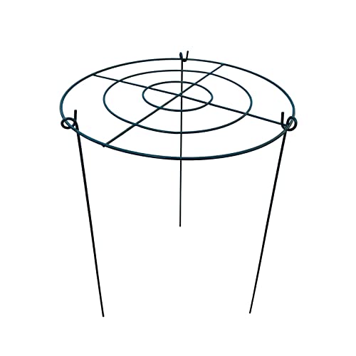 10 Pack 16"x24" Peony Cages Plant Support Stakes Grow Through Grid Grow Through Hoops, Metal Flower Plant Brace Support Ring for Heavy Blossom - size: 16"x24" Pack of 10