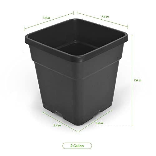 HOSTIC 1.4 Gallon Square Nursery Pots Flexible Plastic Pots for Plants Gallon Pot with Drainage Holes 10 Pcs - color: Black, size: 2 Gallon-10Pcs