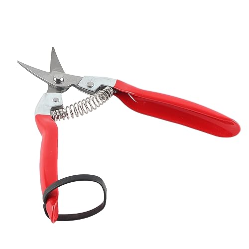 Professional Garden Pruning Shears for Roses and Flowers, Curved Blade Stainless Steel Hand Pruners, Heavy Duty Plant Trimming Scissors for Fruit Harvesting and Flower Arranging