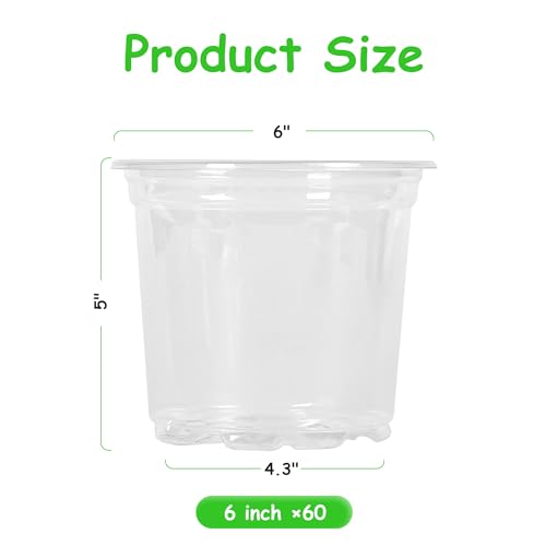 JNYONG 60 Pack 6 Inch Clear Nursery Pots with Drainage Hole - size: 6 Inch