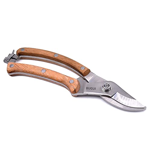 BUGUI Wood Handle Pruning Shears, SK-5 Steel Blade, 1-inch Cutting Capacity, Sharp, Well Designed Garden Shears, 8" - style: 8"WoodHandleShears(E012)