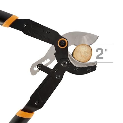 Fiskars 32" Ratchet Drive Garden Anvil Loppers, 2" Cut Capacity - style: 32" Ratchet Anvil