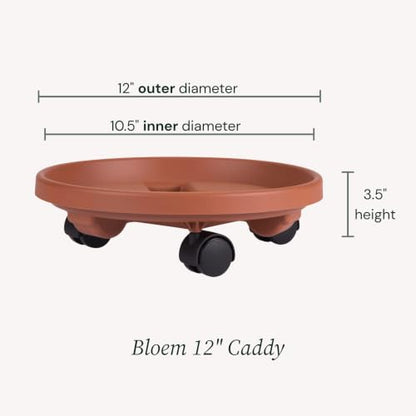 Bloem 12" Plastic Plant Caddy with Wheels, 75 lb Capacity, Terra Cotta - color: Terra Cotta, size: 12"