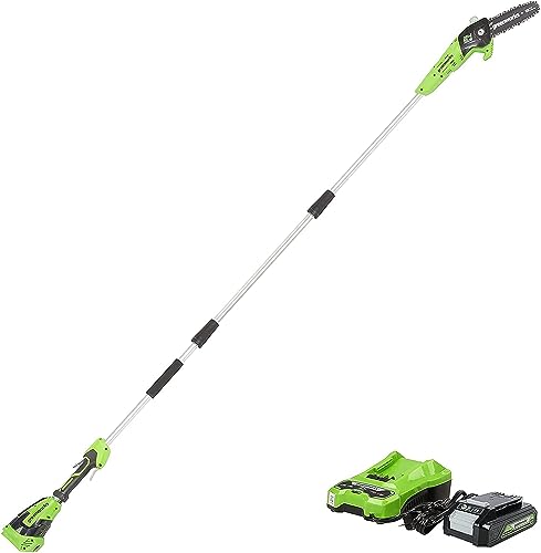 Greenworks 24V 8" Cordless Polesaw (Great For Pruning and Trimming Branches / 125+ Compatible Tools), 2.0Ah Battery and Charger Included - size: 8" Polesaw (2.0Ah), style: Polesaw