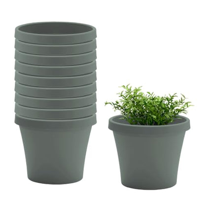Bloem Terra 4" Plastic Planter, 0.25 Gallon, Basil, 10-Pack - color: Basil, size: 4" (Pack of 10)
