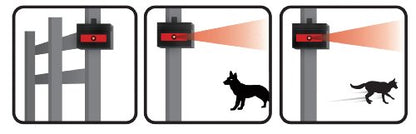 Nite Guard Solar NG-001 Predator Control Light,Single Pack, Black