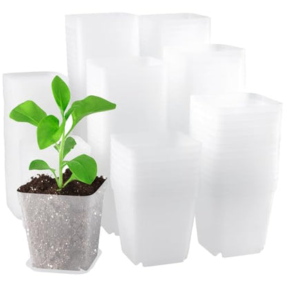 PINGEUI 150 Pcs Nursery Plant Pots, 3Inch Clear Square Herb Pots with Saucers, for Home, Office, Garden