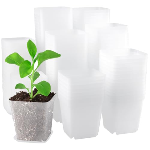 PINGEUI 150 Pcs Nursery Plant Pots, 3Inch Clear Square Herb Pots with Saucers, for Home, Office, Garden