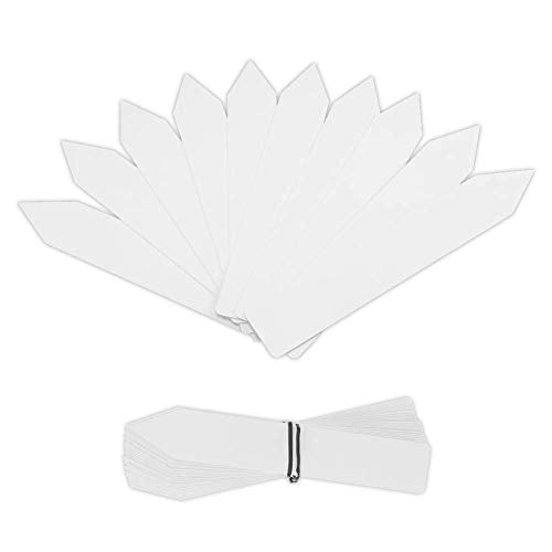 SumDirect Plastic Plant Labels, 100pcs 6 Inch White Waterproof Plant Name Tags for Nursery Garden Labels Markers Seedlings Plant Tags Tree Stake Tags - size: 6 Inch-100