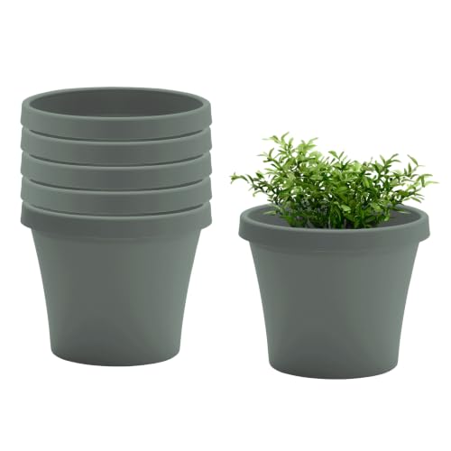 Bloem Terra 12" Plastic Planter, 3.5 Gallon, Basil, 6-Pack - color: Basil, size: 12" (Pack of 6)