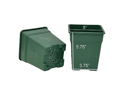 Cotta Planters Square Nursery Pot 0.5 Gallon 5 Inch Plastic Planters for Outdoor Indoor Plants 10-Pack with Drainage Holes Green - color: Green, size: 10-Pack 0.5 Gal Square