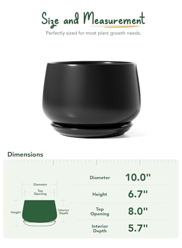 LE TAUCI Ceramic Planter, 10 Inch, Large Plant Pot, Indoor Plant Pot, Black - color: Black, size: 10"