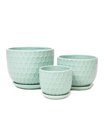 Ceramic Flower Pots with Drainage Hole and Saucer, Modern Round Succulent Planters with Honeycomb Inspired Texture Design, Small to Medium Sized, Set of 3, Green - size: 6.4"+5.2"+3.7" - Set of 3, style: Honeycomb