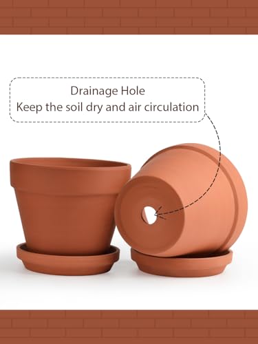 INGOFIN Terracotta Pots Set with Saucer - 2-Pack Ceramic Clay Planters with Drainage Hole, Garden Flower Succulent Pots with Tray for Indoor Outdoor Plants, 8 inch, Set of 2 - size: 8/8 inch -2 pcs