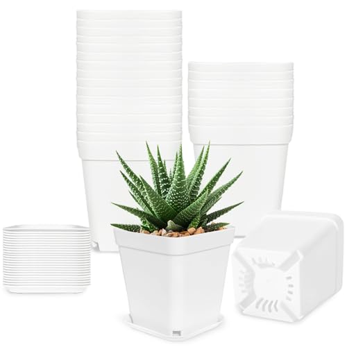 Anyumocz 24Pcs 3" Square Plastic Plant Pots,White Nursery Pots with Saucers,Seedling Nursery Transplanting Planter Container for Plants,Garden,Flower,Home,Office,Balcony Decor,Indoor,Outdoor - color: 1 Color (White)