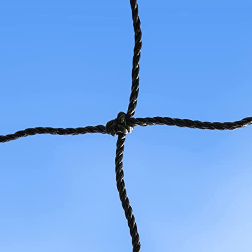 Baseball Backstop Nets | Professional Grade Sports Netting Available in 82 Sizes - 100% Weatherproof with Overlocked Edges - size: 10' x 25'