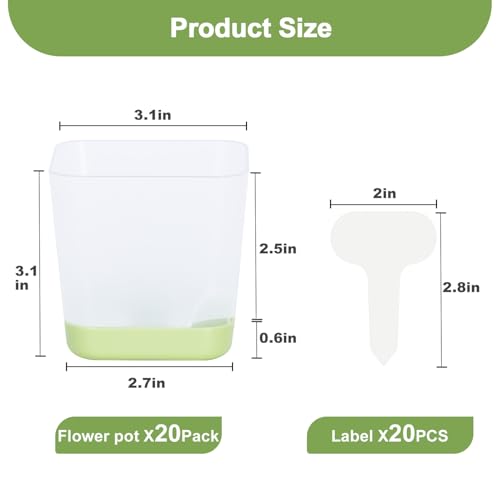Oliz 20pk 3" Square Succulent Pots w/Drainage & Saucers - size: Mini Clear Pots 20 Pack