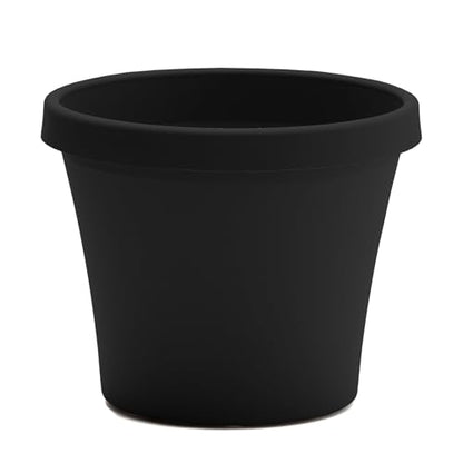 Bloem Terra 6" Plastic Planter, 0.5 Gallon, Black, 10-Pack - color: Black, size: 6" (Pack of 10)