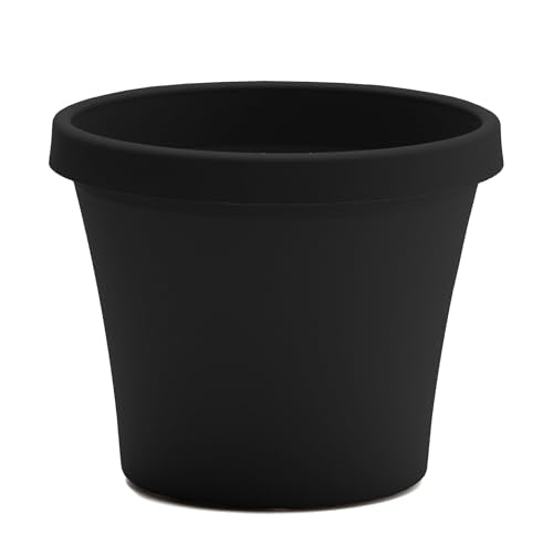 Bloem Terra 10" Plastic Planter, 2 Gallon, Black, 6-Pack - color: Black, size: 10" (Pack of 6)
