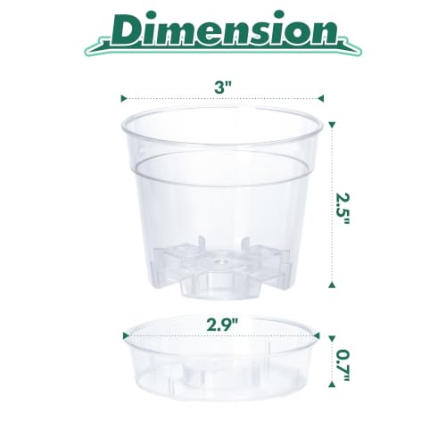3 Inch Clear Plastic Plant Pot with Drainage Holes, Interlocking & Detachable Tray - Deep Saucer - Durable BPA-Free Plastic, Transparent Design, Raised Base for Airflow, Set of 6, 92-X-A-1 - size: 3" x 2.5"
