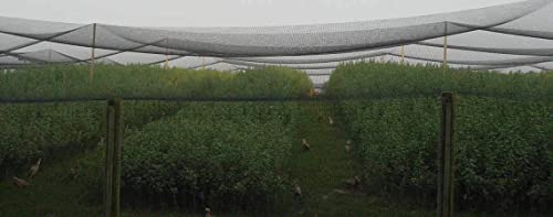 Poultry Netting 1" or 2" Mesh Heavy Knotted Nets Aviary Gamefowl Quail Chicken Bird Block Net Long Lasting Break/Burst 85/245 lb Polyethylene 8-10 Year Lifespan (25' X 25', 1) - size: 25' X 25'