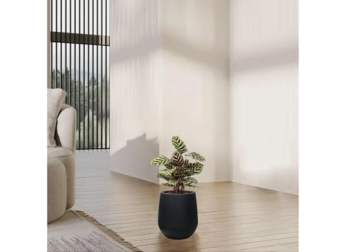 11.8" H Plastic Matte textured Black Planters with Drainage Holes and Plug - color: Black, size: 11.81"