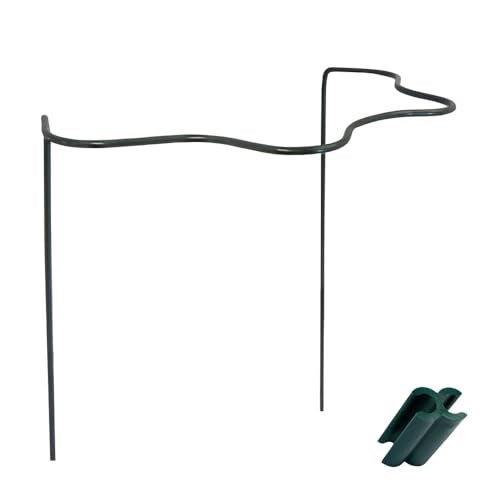 Peacock Plant Support Cradle Set – 2-Pack Scalloped Plant Supports with 4 Cradle Connectors | 28" High Galvanized Steel Garden Stakes for Flowers & Vegetables | Weather-Resistant Dark Green Finish