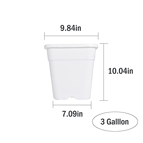 10-Pack 3 Gallon Square Nursery Pots Plastic Garden Planter Pots Flower Seedling Container for Indoor Outdoor Plants Seedlings Flowers Vegetables White - size: 3 Gallon