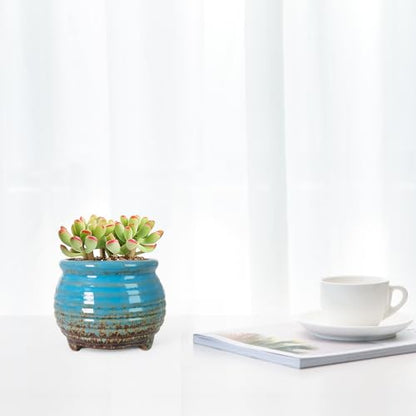 ARTKETTY Succulent Pots, Small Plant Pot with Drainage, Ceramic Planters - color: Colorful-c