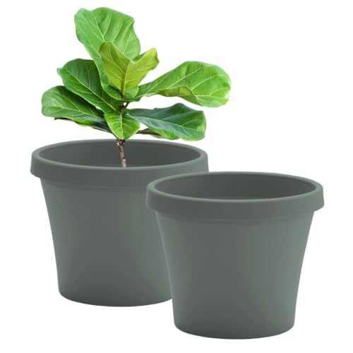 Bloem Terra 24" Plastic Planter, 16 Gallon, Basil, 2-Pack - color: Basil, size: 24" (Pack of 2)