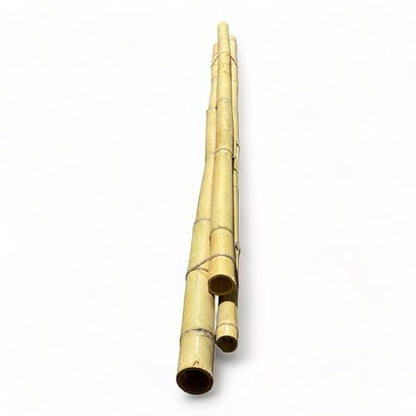 Pack of 3 Bamboo Sticks - 6 Feet Long Natural Thick Bamboo Poles - 1.5 in Diameter - Garden Stakes (Beige) - color: Beige
