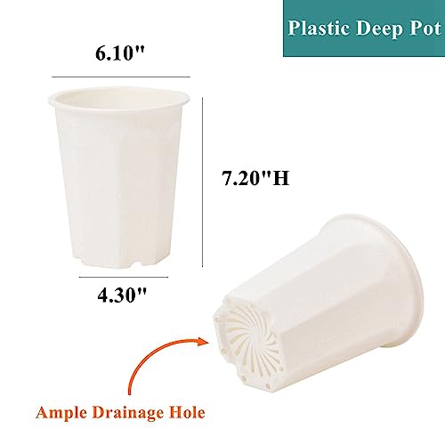 8 Pack 6.10 Inch White Plastic Deep Nursery Pot and Seedling Planter for Succulent, Cutting, Transplanting - color: White, size: 6.10 inch