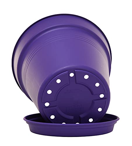 Mintra Garden Pots, 4 Pack Bulk Plastic Plant Pots with Drainage Tray, Round Indoor & Outdoor Decorative Planters with Drain Holes for Flowers, Herbs & Plants, 19cm Diameter – Purple, 7.5 in - color: Purple, size: 19cm Diameter (7.5in)