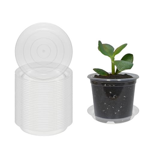 30 Pcs 4 Inch Plant Saucers for Less 3 Inch Pot Indoors Outdoors Plant Trays for Pots Planter Saucer Plastic Plant Drip Tray Flower Planter Water Tray for Potted Plants (Clear, 4 Inch) - color: Clear