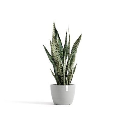Ecopots Stockholm Round Flower Planter, White Grey, 9.5" - color: White Grey, size: 9.5"