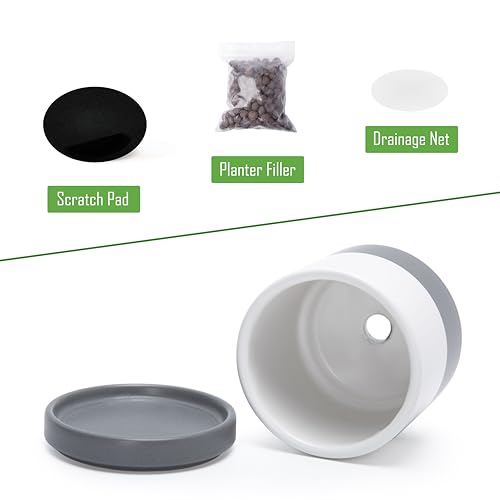 D'vine Dev 2-Pack Ceramic Pots & Saucers, White/Grey, 3.5/4.7 in, 94-G-XS-6 - color: White/Speckled Grey, size: X-Small