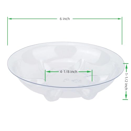 6 Pack Clear Small Tray for Succulent planters Plastic Plant Saucer Sturdy Pot Tray,Plant Water Catcher Clear Thick Plastic Heavy Duty Plant Sturdy Saucer Drip Trays for pots (6 INCH) - size: 6 INCH