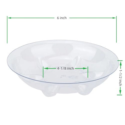 6 Pack Clear Small Tray for Succulent planters Plastic Plant Saucer Sturdy Pot Tray,Plant Water Catcher Clear Thick Plastic Heavy Duty Plant Sturdy Saucer Drip Trays for pots (6 INCH) - size: 6 INCH