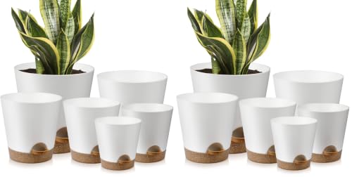 YNNICO Indoor Self Watering Planters with Drainage Holes and Saucers, 8, 7, 6.5, 6, 5.5, 5 Inches, White, 6 Pots (Pack of 2) - color: White, size: 8+7+6.5+6+5.5+5 inch (Pack of 2)